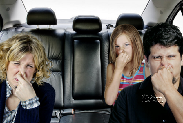 Mùi khó chịu trên ô tô làm phiền cả gia đình bạn?